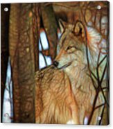Timber Wolf Colorful Art Acrylic Print