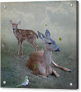 Time Stops For Deer Acrylic Print