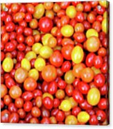 Tiny Tomatoes Acrylic Print