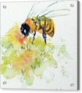 To Bee Or Not To Be Acrylic Print