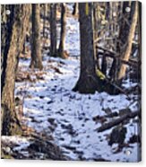 Tom Paul Trail Winter Acrylic Print