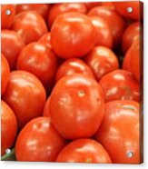 Tomatoes 247 Acrylic Print