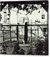 Tom's Garden
#plant #garden #balcony Acrylic Print