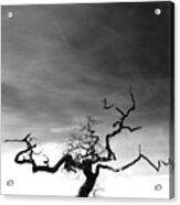 Tormented In Grey Acrylic Print