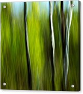 Torsion And Tension Acrylic Print