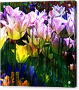 Totally Tulips Acrylic Print