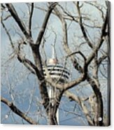 Tower And Trees Acrylic Print