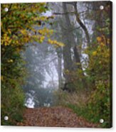 Trail In Morning Mist Acrylic Print