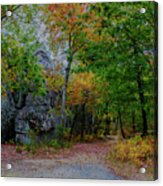 Trail Past Indian Face Rock Acrylic Print