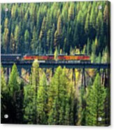 Train Coming Through Acrylic Print