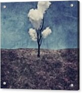 Tree Clouds 01d2 Acrylic Print
