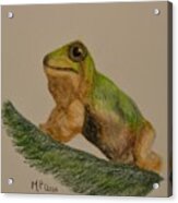 Tree Frog Acrylic Print