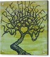Tree Hugger Love Tree Acrylic Print