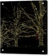 Tree Lights Acrylic Print