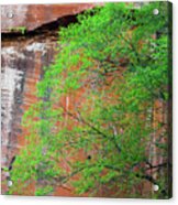 Tree With Red Canyon Wall Acrylic Print