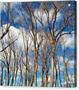 Trees And Clouds Acrylic Print
