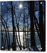 Trees By The Lake In Early Winter Acrylic Print