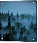 Trees In The Mist Acrylic Print