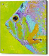 Tropical Fish Painting Acrylic Print