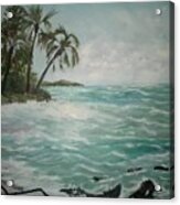 Tropical Island Acrylic Print