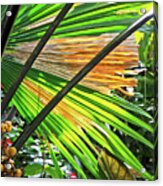 Tropical Leaves Back-lit Greens Yellows Browns Berries In The Corner 2 10232017 Colorado Acrylic Print