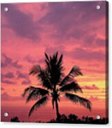 Tropical Sunset Acrylic Print