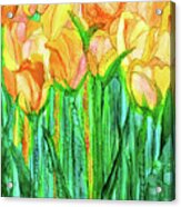 Tulip Bloomies 1 - Yellow Acrylic Print