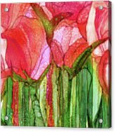 Tulip Bloomies 3 - Red Acrylic Print
