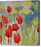 Tulip Field Acrylic Print
