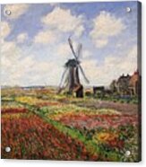 Tulip Fields With The Rijnsburg Windmill Acrylic Print