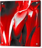 Tulip Kisses Abstract 2 Acrylic Print