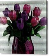 Tulip Time Acrylic Print