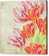 Tulipes Du Jardin Acrylic Print