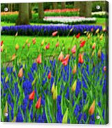 Tulips And Bluebells Acrylic Print