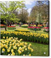 Tulips And Other Spring Bulbs At Keukenhof Gardens Holland Acrylic Print