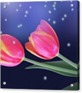 Tulips And Stars Acrylic Print