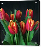 Bouquet Of Red Tulips Acrylic Print