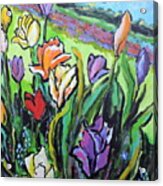 Tulips Acrylic Print