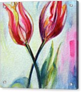 Tulips - Pleasure Acrylic Print