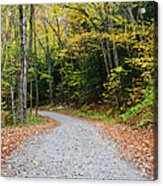 Tunnel Brook Road - Benton New Hampshire Acrylic Print