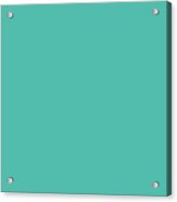 Turquoise Solid Color Decor Acrylic Print