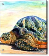 Turtle At Poipu Beach 8 Acrylic Print