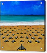 Turtle Beach Acrylic Print