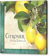 Tuscan Lemon Tree - Citronier Citrus Limonum Vintage Style Acrylic Print