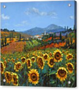 Tuscan Sunflowers Acrylic Print