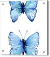 Two Blue Butterflies Watercolor Acrylic Print