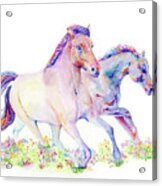 Two Horses Acrylic Print