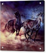 Two Horses Acrylic Print