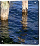 Two Old Pilings 2 Acrylic Print