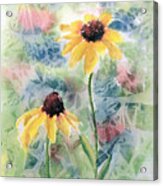 Two Sunflowers Acrylic Print